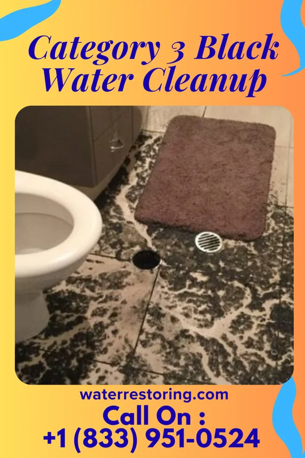 Category 3 Black Water Cleanup in Daykin, NE
