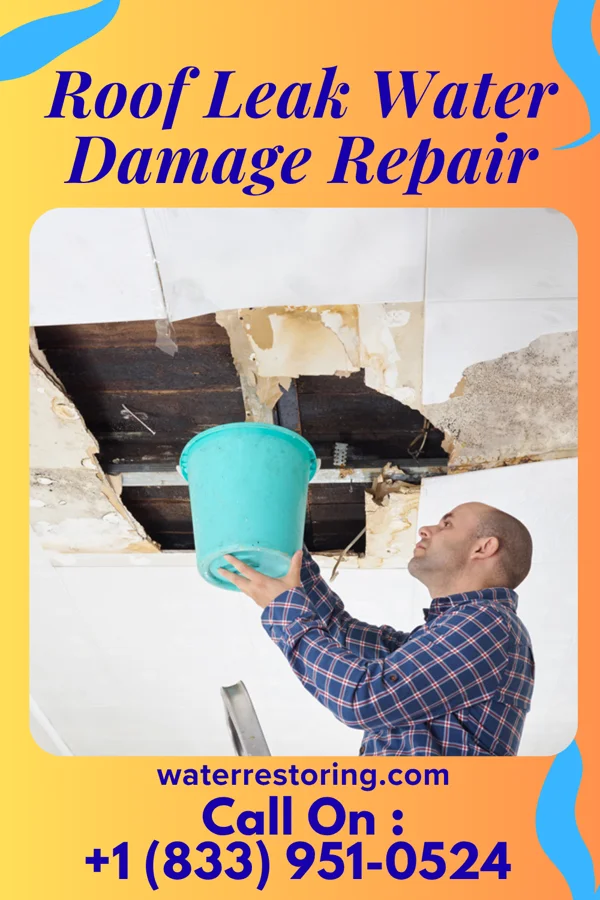 Roof Leak Water Damage Repair in Daykin, NE